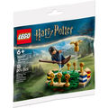LEGO - 30651 - Harry Potter - Quidditch™ Practice - K